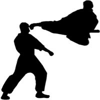 Welsh Shotokan Karate Organisation Logo